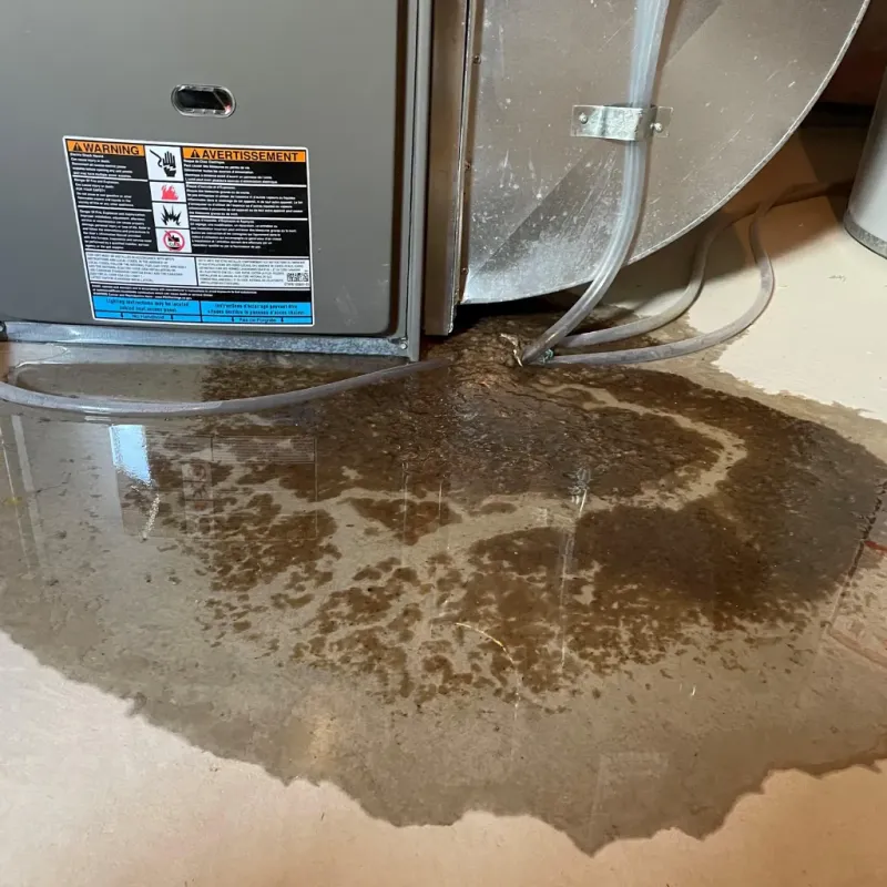 Appliance Leak Cleanup in Irion County, TX